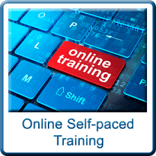 Six Sigma Online Self-Paced Training